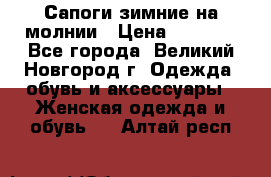 Сапоги зимние на молнии › Цена ­ 5 900 - Все города, Великий Новгород г. Одежда, обувь и аксессуары » Женская одежда и обувь   . Алтай респ.